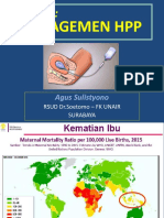 HPP Mojokerto 2019 PRESENTASI