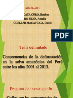 Deforestacion