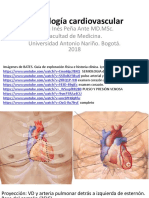 Semiología Cardiovascular