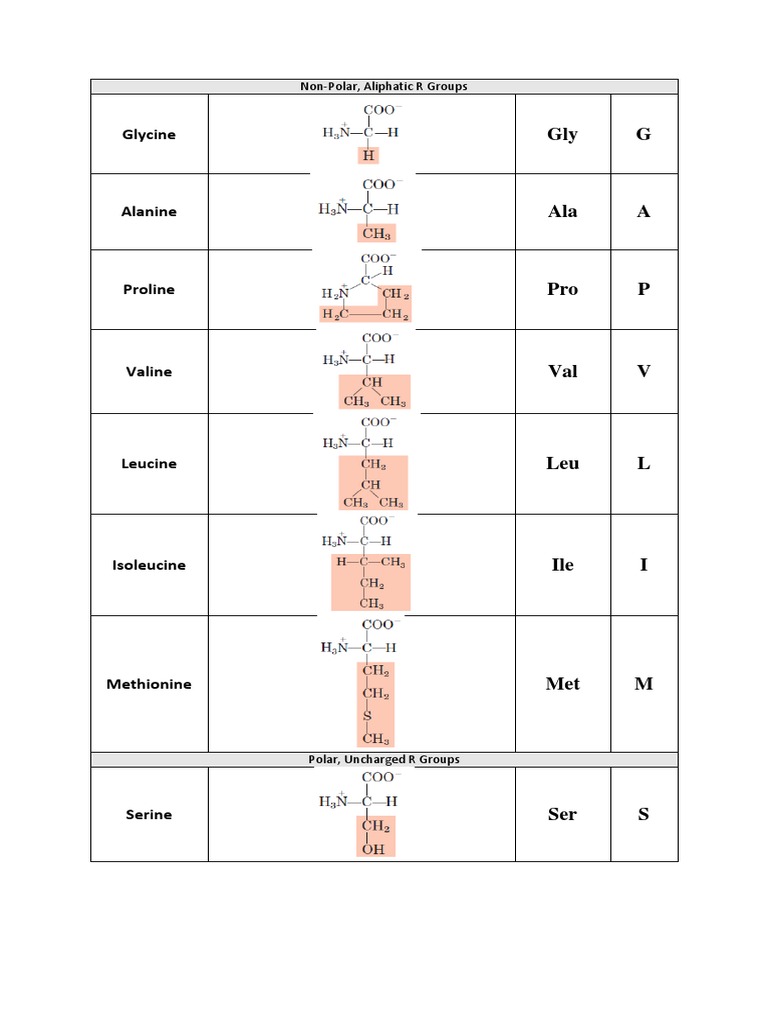 Amino Acid Codes and Types Overview | PDF