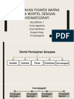 Kelompok 7 Pemisahan Pigmen Warna Menggunakan Kromatografi Adsorpsi