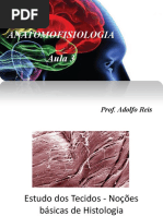 Aula 3 -Noções Básicas de Histologia