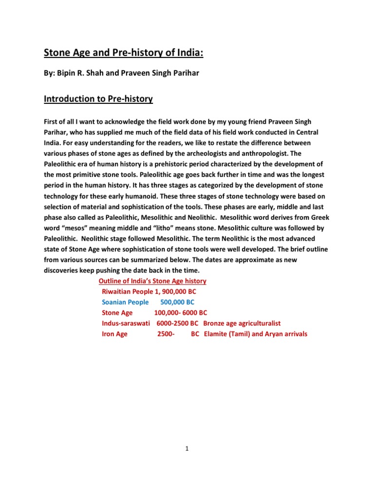 Stone Age History of India | PDF | Stone Age | Paleolithic