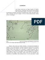 Trabalho Sobre Candidíase