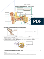 Fisa de Lucru Urechea