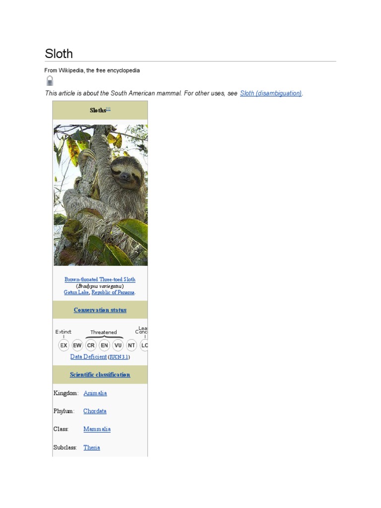 Sloth | PDF