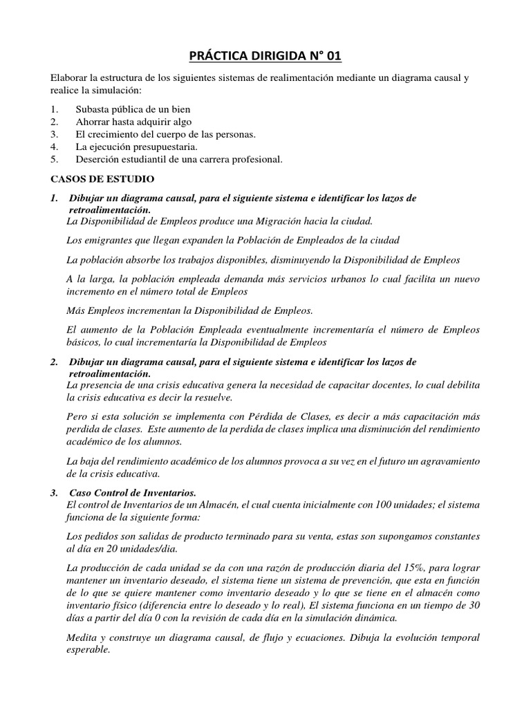 Práctica Dirigida | PDF | Realimentación | Inventario