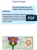 Diagram Bunga