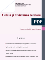 Celula Și Diviziunea Celulară 1