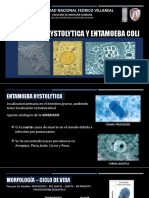 Entamoeba Microbiología