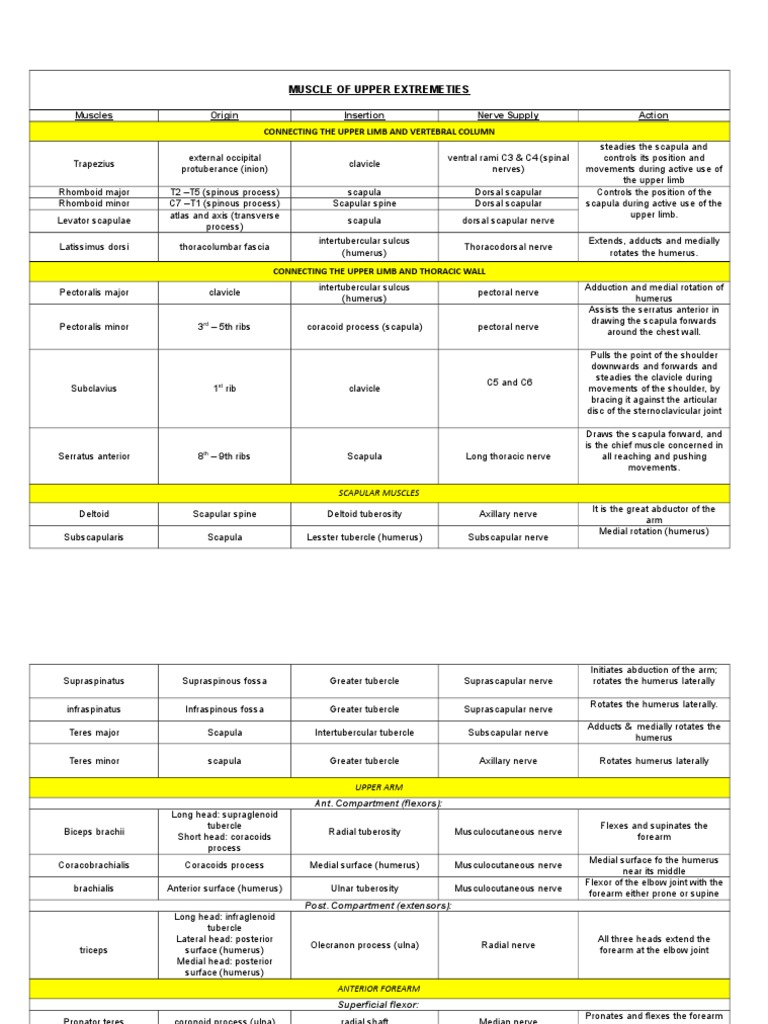 1-Muscle of Upper Extremeties-Table | PDF | Thumb | Finger