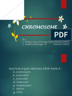 Soal Kromosom