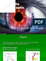 Pupila, n. optic.ppt