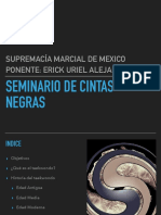 Seminario de Cintas Negras