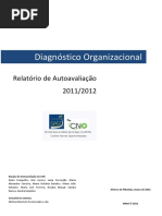 Autoavaliacao - Diagnostico Organizacional 2011-12