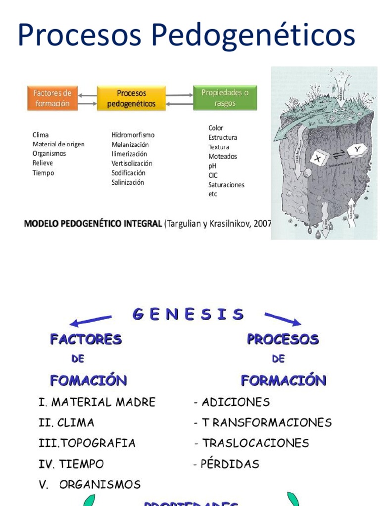 Procesos Pedogeneticos | PDF | Ciencia del suelo | Suelo