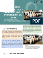 Tema 12 Grupo 12 PDF