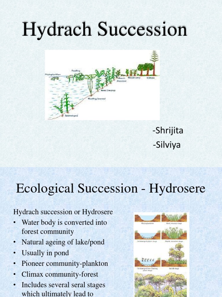 Hydrach Succession 1 | PDF | Ecology | Environmental Science, image size:768x1024