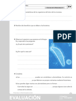 U02 Eval PDF