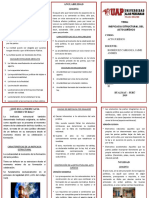 Tríptico de Ineficacia Estructural