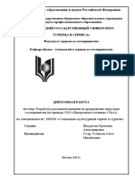 Разработка рекламной компании PDF