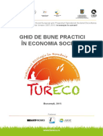 Ghid-bune-practici-in-economia-sociala-2015-Tureco.pdf