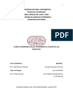 Informe de Pasantias Rotatorias J Cordoba y J Parra PDF
