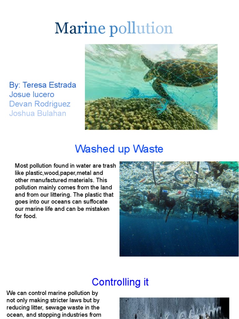 Ocean Pollution | PDF