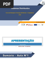 Aula 1_WEB.pdf