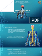 Sistema Nervioso