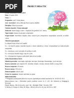 Proiect Didactic
