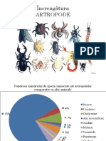 Crustacee Și Arahnide (Biologia)