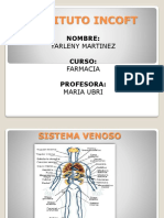 Sistema Venoso Yarleny