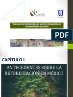 Las Reforestaciones en México, Problemática y Alternativas de Solución