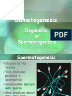 Gametogenesis: Oogenesis or Spermatogenesis