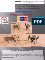 diapositiva dengue, chiku, zika.pptx