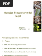 Las Plantas Medicinales De La Sierra Central De Piura 1995 Pdf