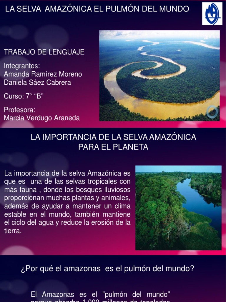 Importancia de la Selva Amazónica | PDF | Selva | Selva amazónica