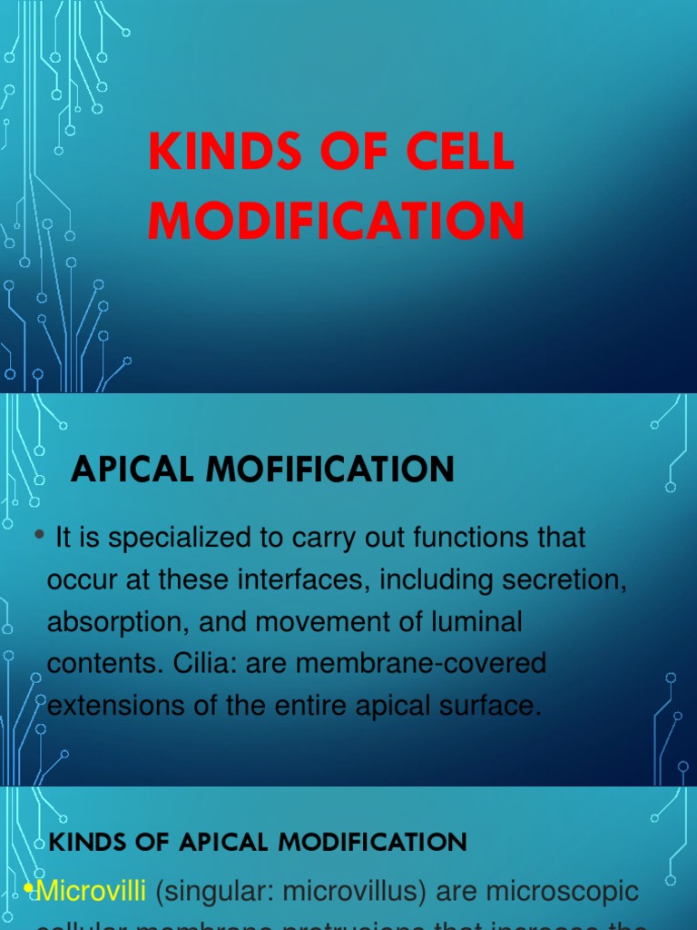 Types of Cell Modifications Explained | PDF | Home & Garden | Wellness