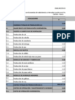 Flujo de Caja Nec Paucar