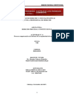 DERECHO PROCESAL CONSITUCIONAL ACT N° 11