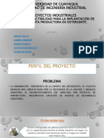 proyectodetergente-150120200435-conversion-gate01.pdf