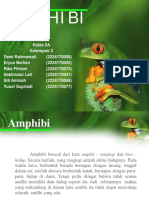 Amphibi 5a