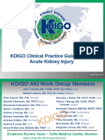 KDIGO Guideline for Acute Kidney Injury Management