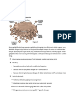 Apparatus Golgi