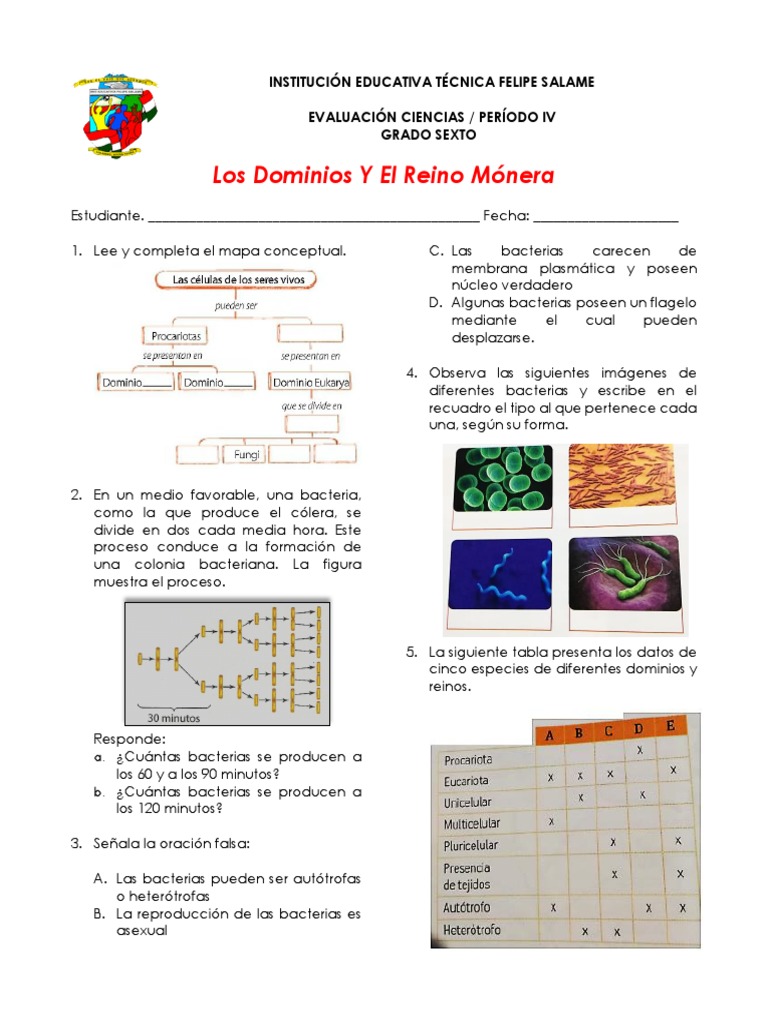 Taller Dominios y Reino Monera | PDF | Las bacterias | Organismos