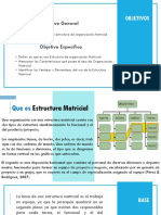 Estructura Matricial.pptx