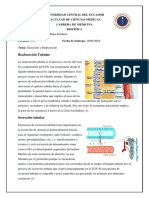 Reabsorcion y Secrecion Tubullar