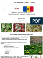 Strawberry Disease and Insect Guide