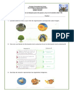 Acumulativo Cienciastercero